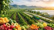 Horticulture Hub: రాయలసీమలో రూ.లక్ష కోట్ల ఉద్యాన హబ్‌.. 5,869 గ్రామాల్లో భారీ ప్రణాళిక