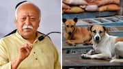 Mohan Bhagwat: వీధి కుక్కల సమస్యకు మధ్యమార్గమే పరిష్కారం: ఆర్ఎస్ఎస్ చీఫ్ మోహన్ భగవత్