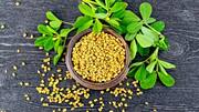 చలికాలం: డయాబెటిస్ నుండి గుండె సంబంధ వ్యాధుల వరకు మెంతులు చేసే ప్రయోజనాలు
