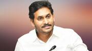 ఎమ్మెల్సీ ఎన్నికల్లో వైసీపీ ఓటమి పాపం సర్వేలదేనా? అవే జగన్‌ను తప్పుదారి పట్టించాయా?