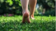 barefoot walking benefits : పచ్చగడ్డిపై చెప్పులు లేకుండా నడుస్తున్నారా? మనసుకు రిలీఫ్‌ ఇచ్చే సహజ మార్గమిదే!