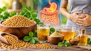 Fenugreek: మెంతులు: జీర్ణక్రియకు మేలు చేసే సహజ ఆహారం..