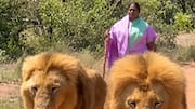 Seethakka: చేతిలో కర్ర.. ముందు రెండు సింహాలు.. సీతక్క సఫారీ వీడియో వైరల్