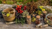 Herbs for Immunity: రోగనిరోధక శక్తిని పెంచే 5 మూలికలు.. మీ డైట్‌లో తప్పక చేర్చుకోండి!