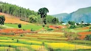 Amaravati: పర్యాటక రంగంలో కొత్త అడుగు.. 4 కొత్త గమ్యస్థానాలకు గ్రీన్‌సిగ్నల్!