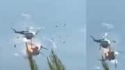 Helicopter Blast: కార్చిచ్చు ఆర్పుతుండగా గాల్లోనే ఢీకొన్న హెలికాప్టర్లు.. ఇద్దరు పైలట్లు మృతి