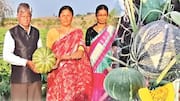 Maharastra: కరవు గడ్డలో మహిళల సాగు విజయం.. ఐదు రాష్ట్రాలకు గుమ్మడికాయల ఎగుమతి