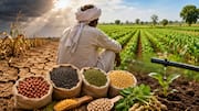 Andhra Pradesh: ఎల్‌నినో ప్రభావం.. ఖరీఫ్‌లో వరికి బదులుగా పప్పు,నూనెగింజల పంటలపై ఫోకస్