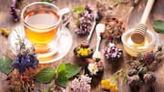 Herbal Tea: కొత్తగా హెర్బల్ టీలు తాగాలనుకుంటున్నారా? ఈ ఐదు రకాలతో ప్రారంభించండి!