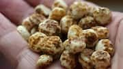 Tiger Nut Benefits: టైగర్ నట్‌.. ఆరోగ్యానికి మేలు చేసే పోషకాల గని