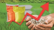 CACP Report: ఏపీ జిల్లాల్లో ఎరువుల మోతాదు ప్రమాదకరం.. సీఏసీపీ ఆందోళన