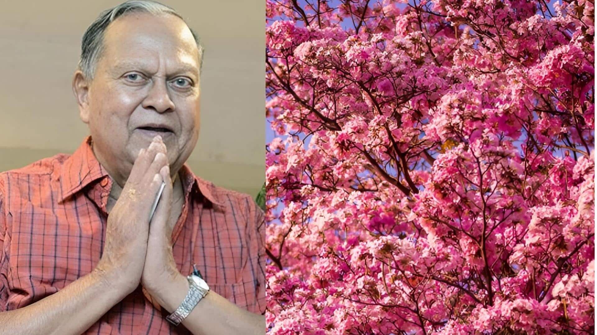 Bangalore: పింక్ ప్యారడైజ్‌గా మారిన బెంగళూరు.. ఆ మహనీయుడి కల సాకారం