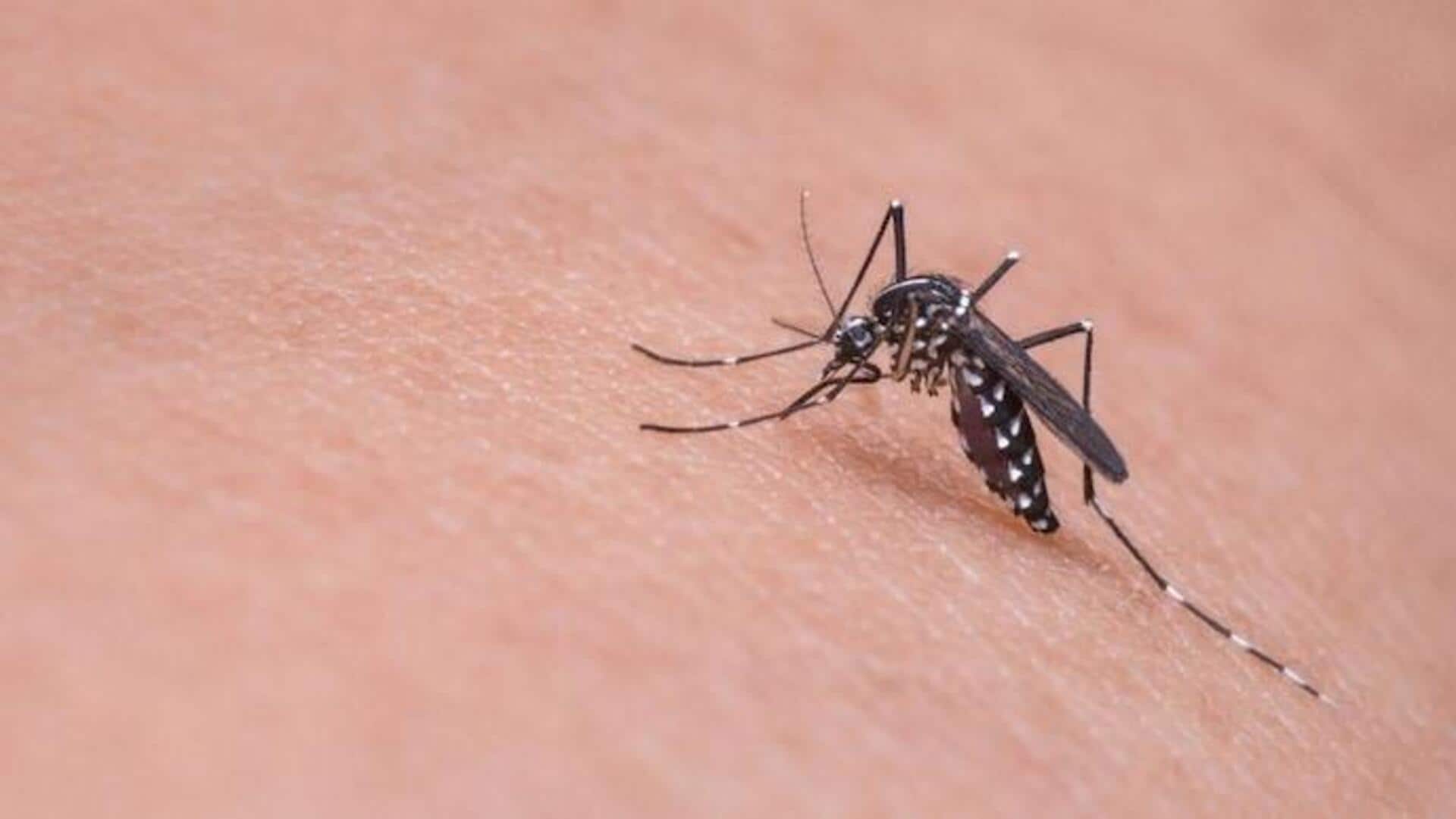 Health Tips: దోమల బెడద నుంచి తప్పించుకోవాలని అనుకుంటున్నారా? ఈ 5 చిట్కాలు పాటించండి