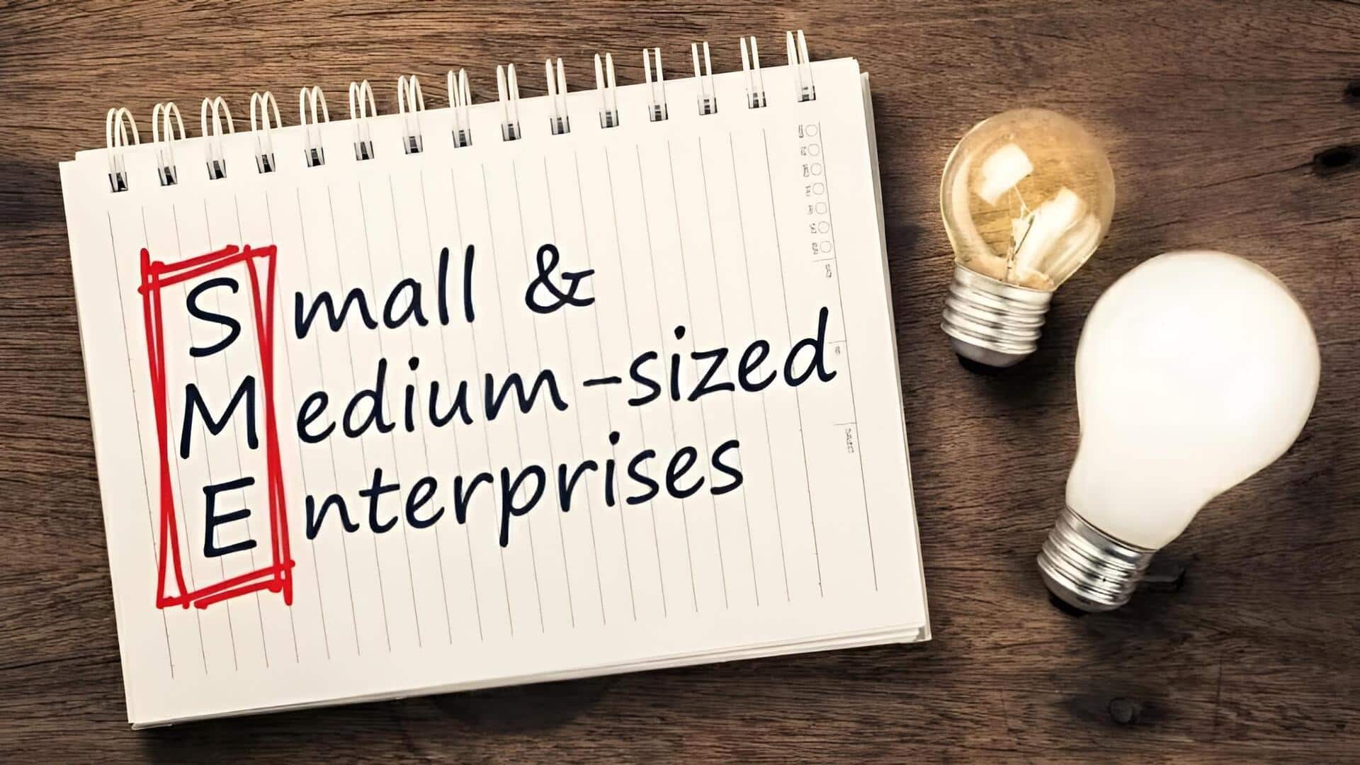 Small business enterprises: చిన్న వ్యాపారాలకు రుణాల వెల్లువ.. రూ.46 లక్షల కోట్లకు చేరిన మంజూర్లు