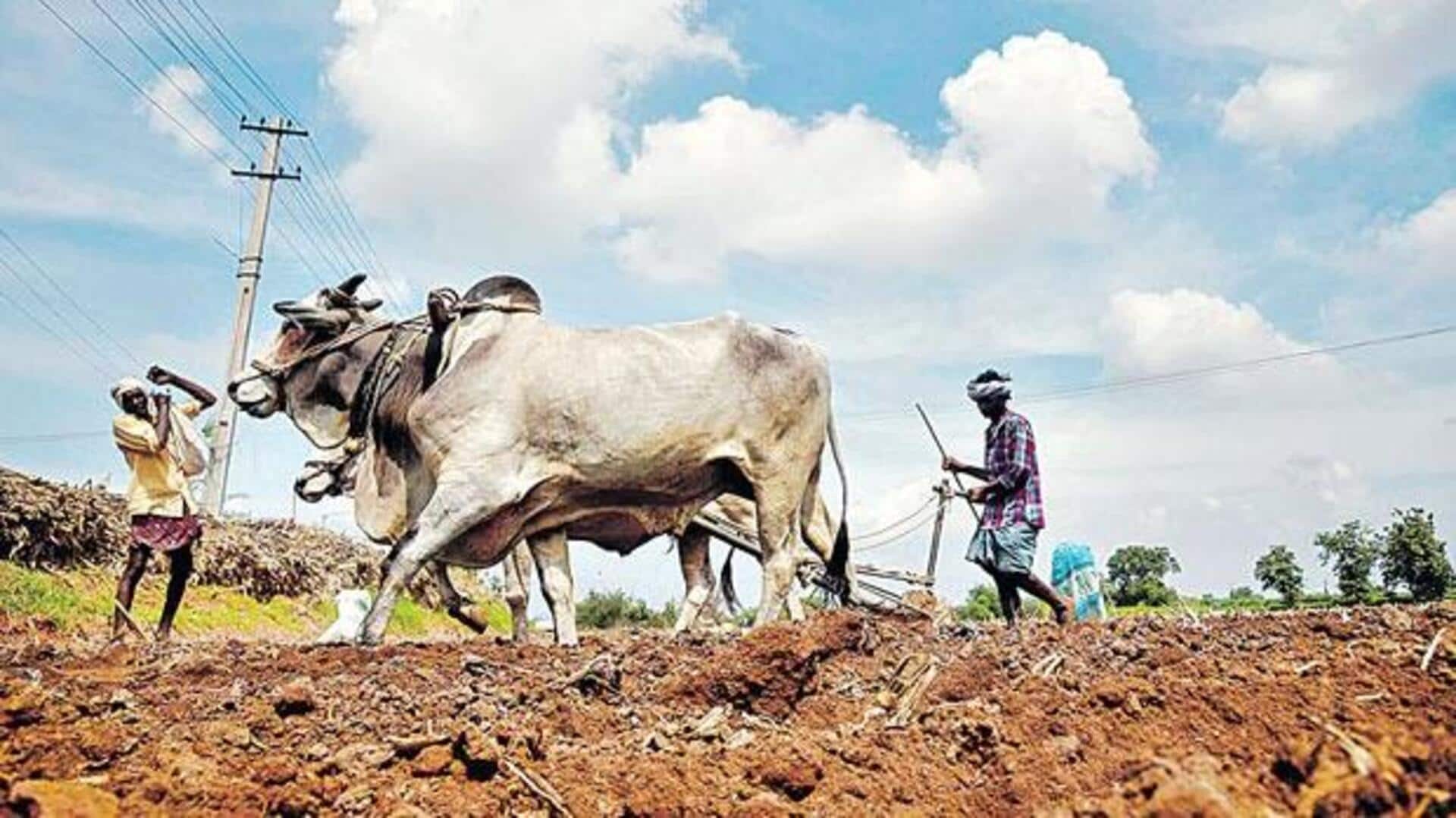 Amaravati: కౌలు రైతులకూ భూములున్న రైతులతో సమానంగా ప్రయోజనాలు Amaravati: కౌలు రైతులకూ భూములున్న రైతులతో సమానంగా ప్రయోజనాలు