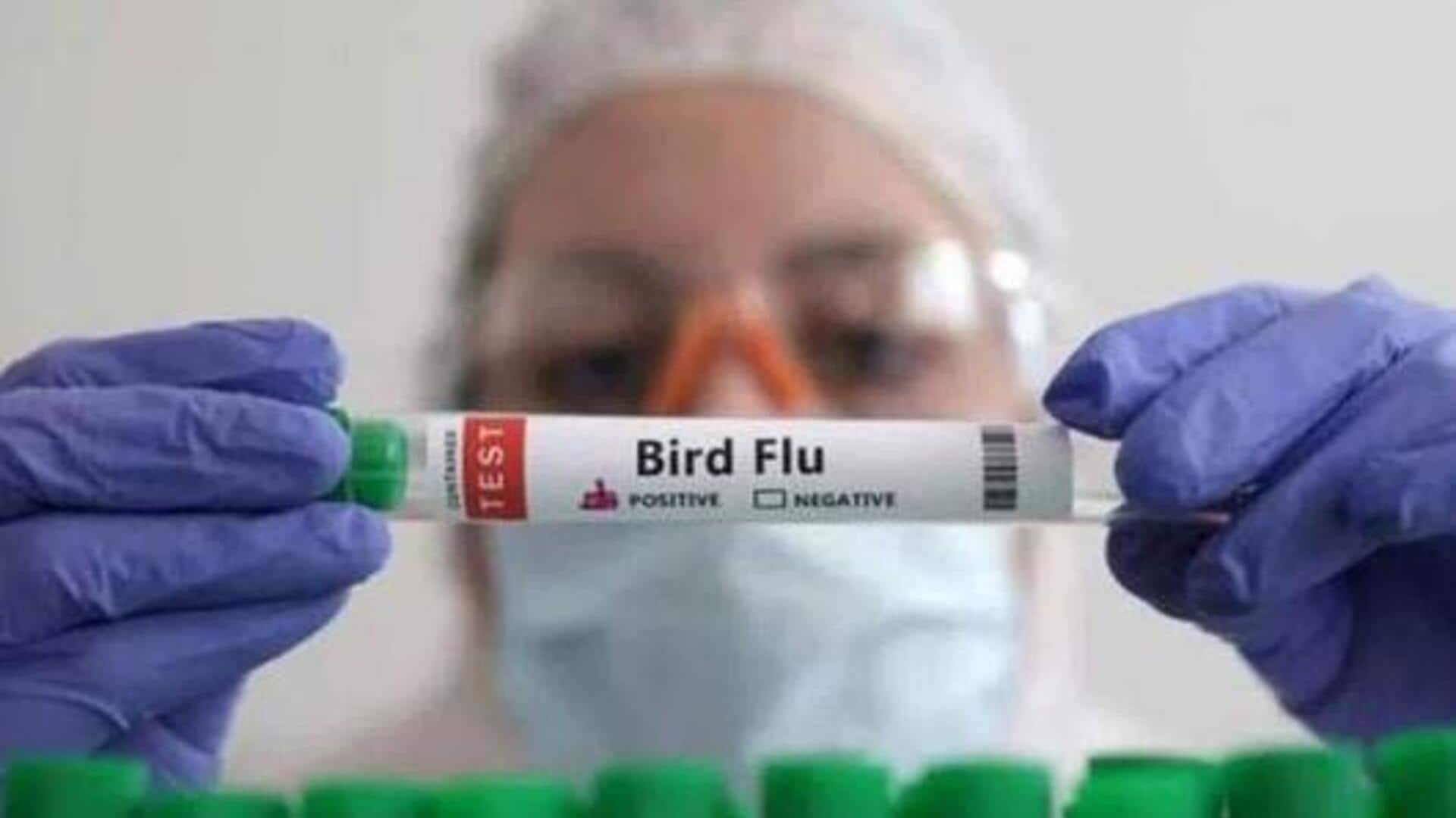 Bird Flu: ఏపీలో బర్డ్‌ఫ్లూ కలకలం.. ఒక వ్యక్తికి పాజిటివ్