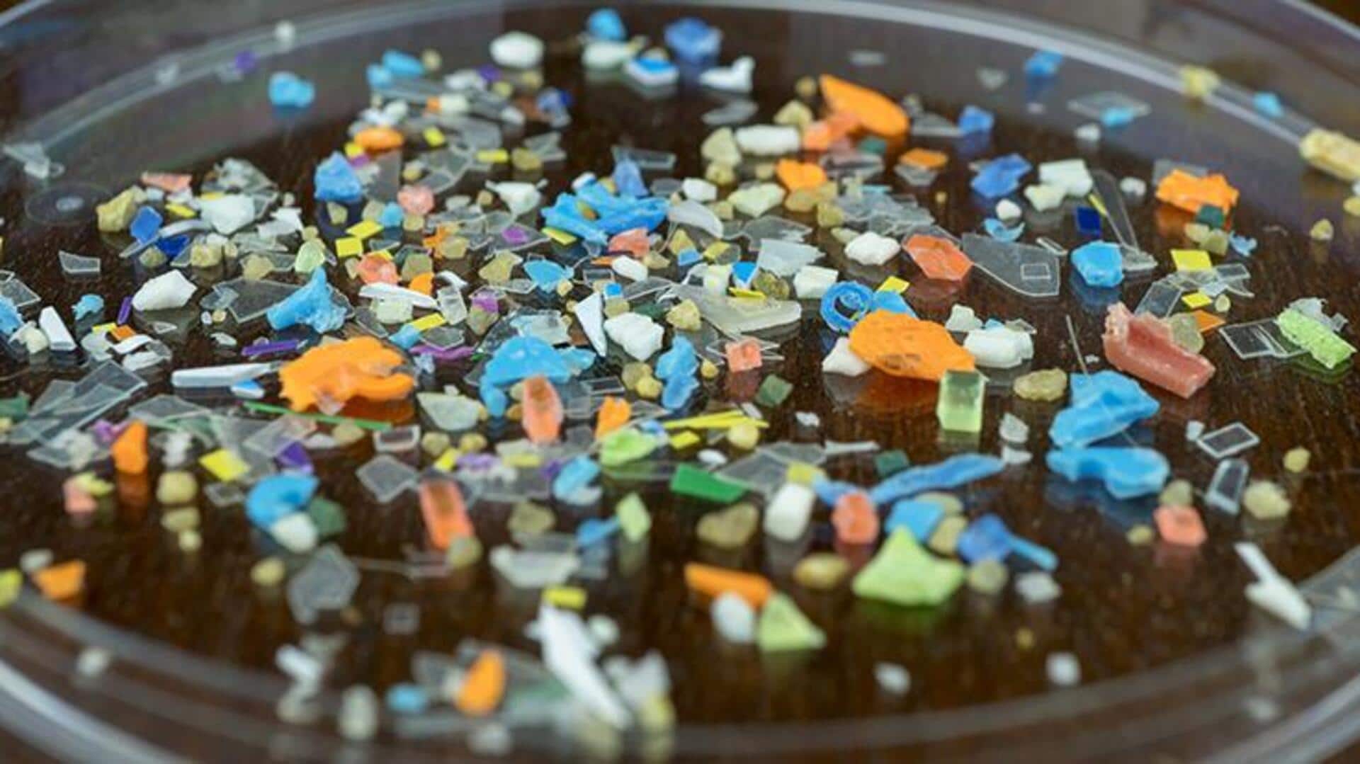 Microplastics: పేగులోని సూక్ష్మజీవులపై మైక్రోప్లాస్టిక్ల ప్రభావం.. తాజా అధ్యయనంలో సంచలన విషయాలు Microplastics: పేగులోని సూక్ష్మజీవులపై మైక్రోప్లాస్టిక్ల ప్రభావం.. తాజా అధ్యయనంలో సంచలన విషయాలు