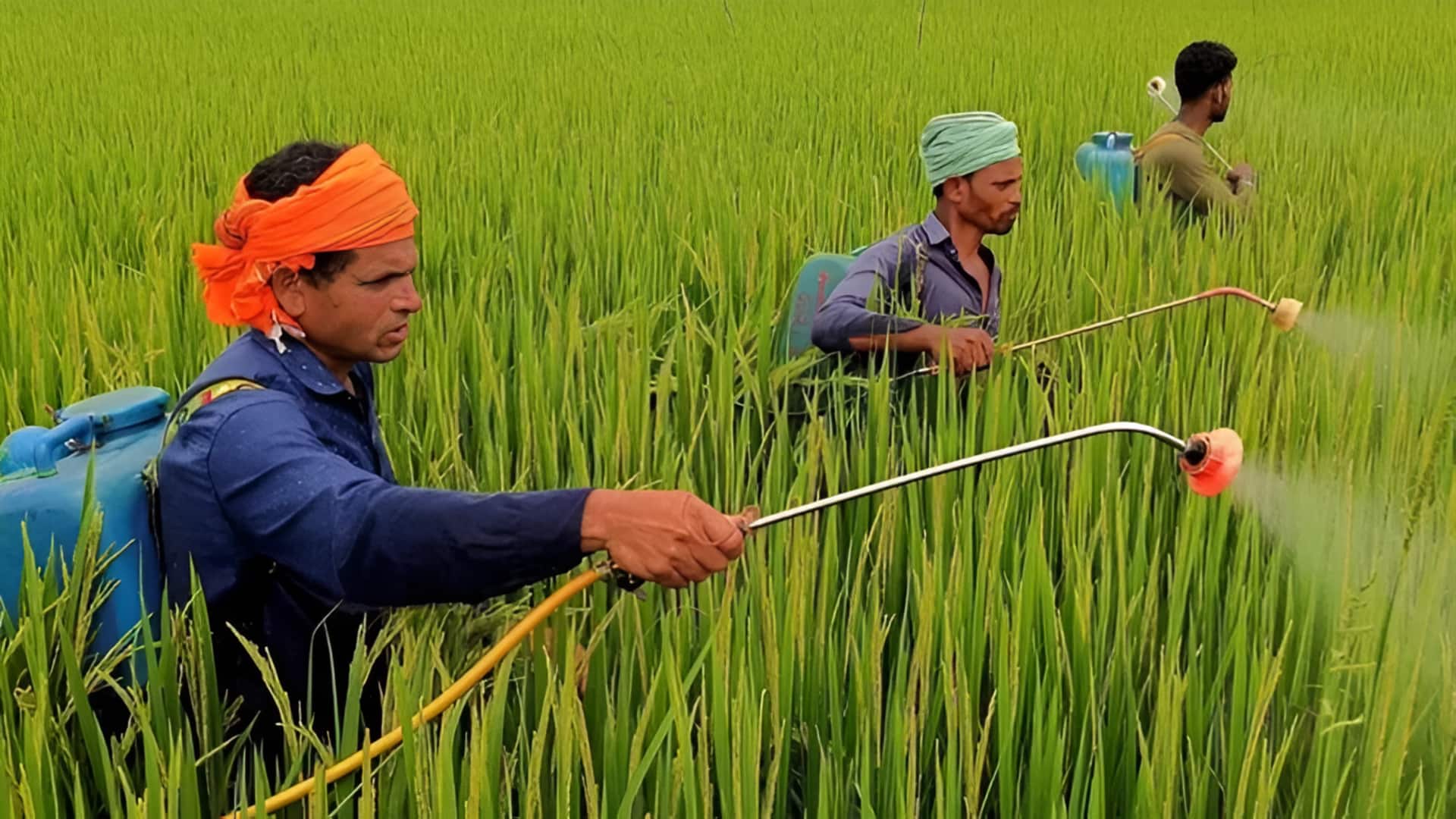 India's fertilizer subsidy: హోర్ముజ్ సంక్షోభం ప్రభావం.. ఎరువుల సబ్సిడీ 20% పెరిగే అవకాశం