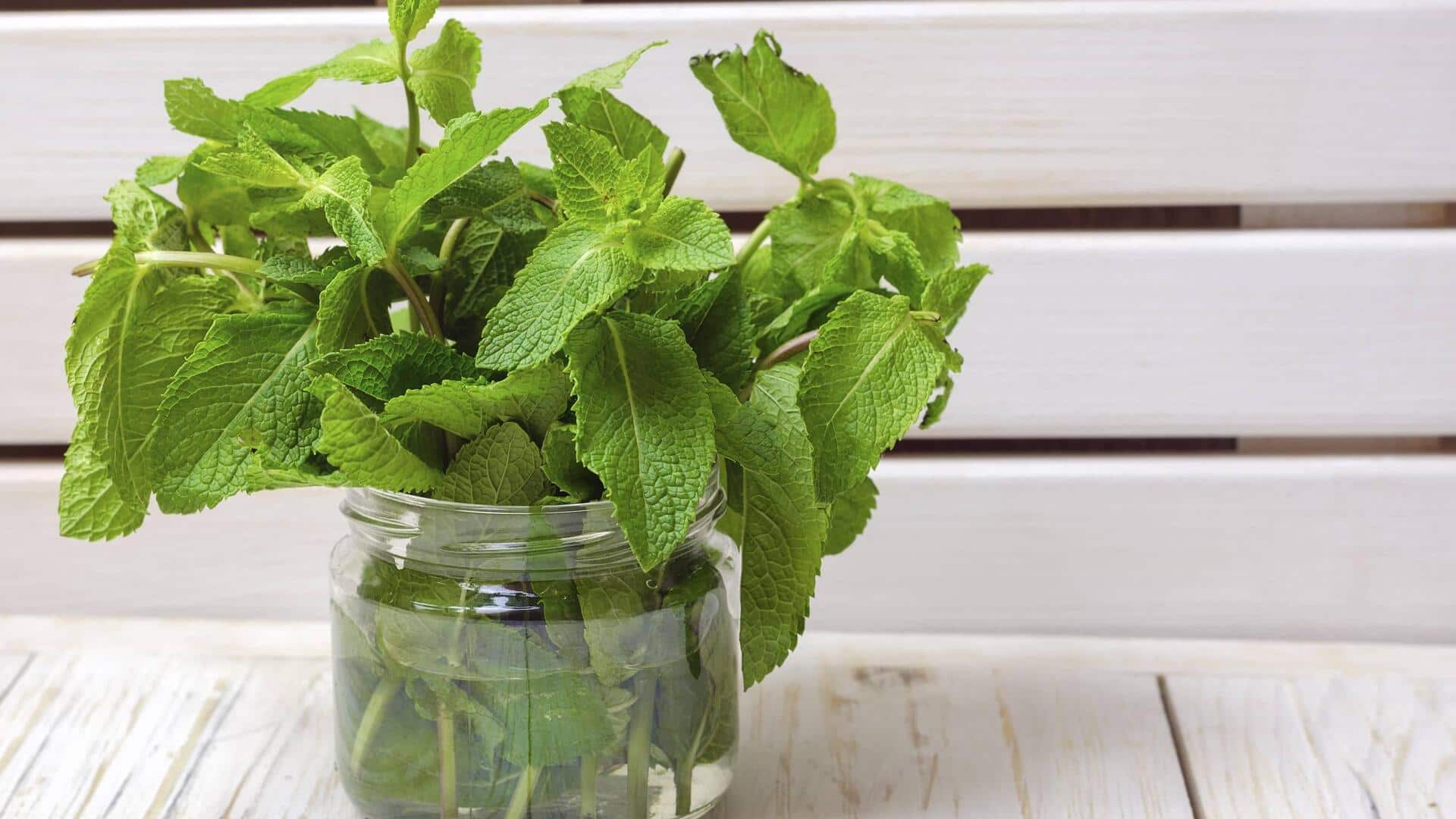 Mint leaves: పుదీనా ఆకులు పాడవకుండా ఉండాలంటే ఈ చిట్కాలు పాటించండిలా..