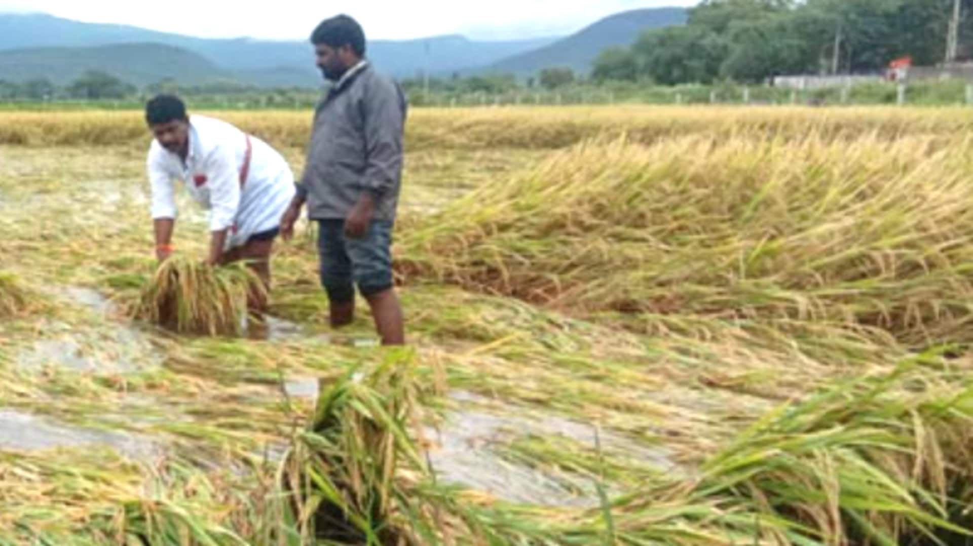 నేటి నుంచి తెలంగాణలో కేంద్ర బృందం పర్యటన.. వరద ప్రభావిత ప్రాంతాల సందర్శన