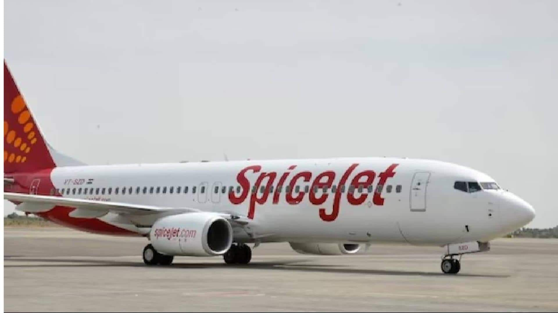 spicejet flight: పక్షిని ఢీకొట్టిన స్పైస్‌జెట్ విమానం.. 135 మంది ప్రయాణికులు సేఫ్ 