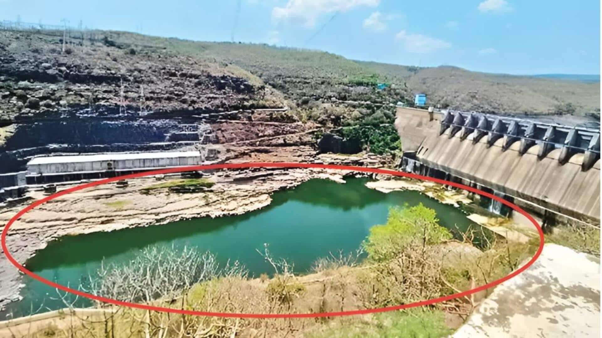 Srisailam: శ్రీశైలం డ్యాం మరమ్మతులకు కదలిక.. కేంద్ర జలసంఘం నిపుణుల కమిటీ ఏర్పాటు