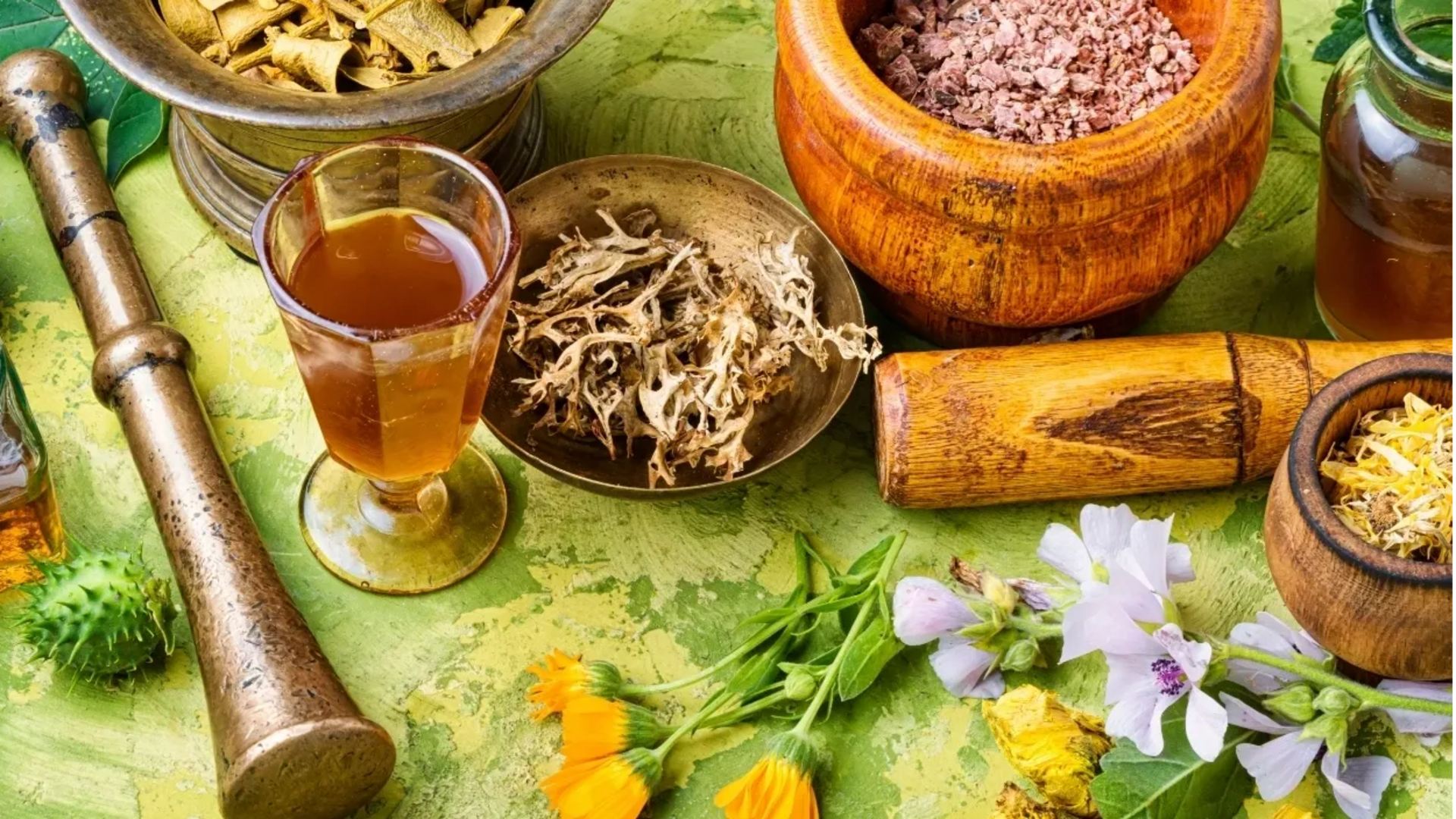 Herbal Remedies : ఇంట్లోనే మూలికలతో ఆరోగ్యం.. ఈ చిట్కాలు పాటిస్తే చాలు