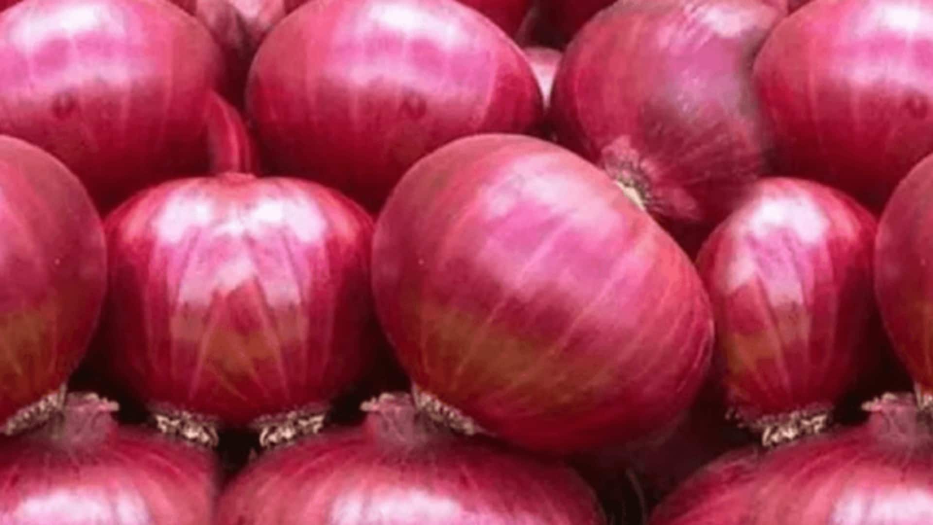 Onion Exports : ఉల్లి ఎగుమతులపై కేంద్రం కీలక నిర్ణయం.. ఎప్పటివరకు నిషేధం అంటే
