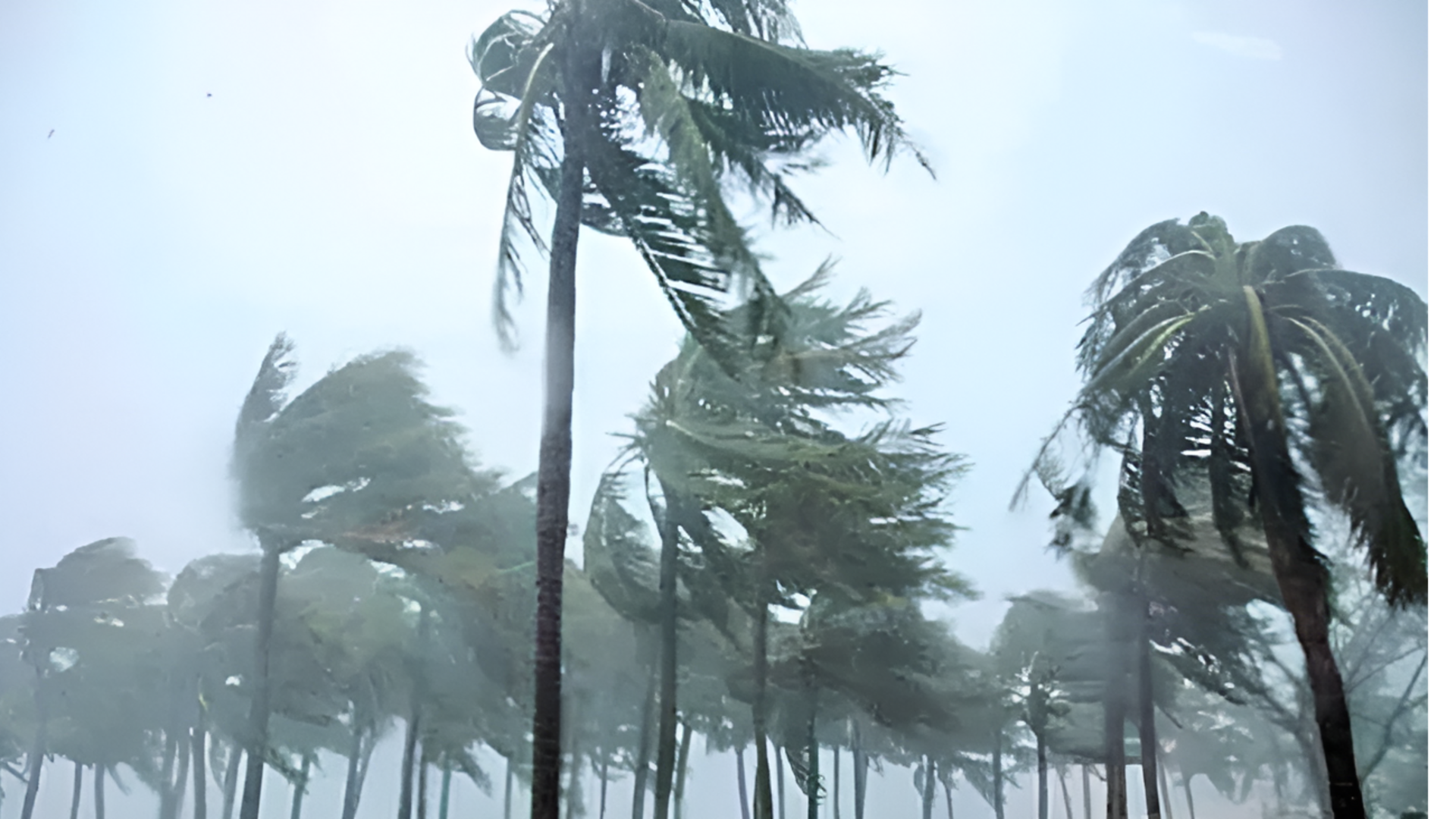 Weather Report: కోస్తాలో ఈదురుగాలులు.. ఏపీలో వారం రోజుల పాటు వర్షాల హెచ్చరిక
