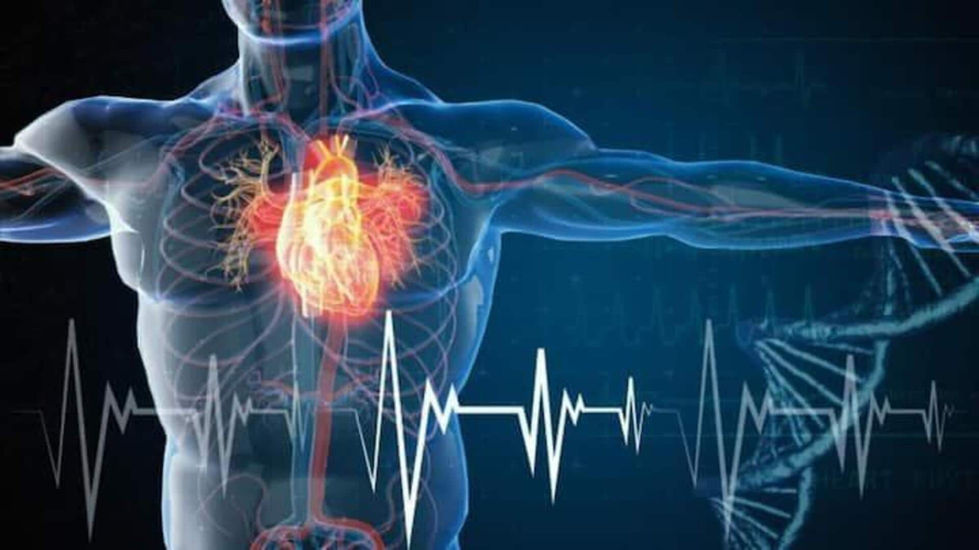 Heart Attacks: కృత్రిమ మేధస్సు ద్వారా గుండెపోటు ప్రమాదాన్ని గుర్తించవచ్చు