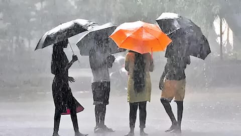 Telangana Rain Alert: తెలంగాణలో మరో నాలుగు రోజులు వానలే.. నేడు, రేపు మోస్తరు వర్షాలు