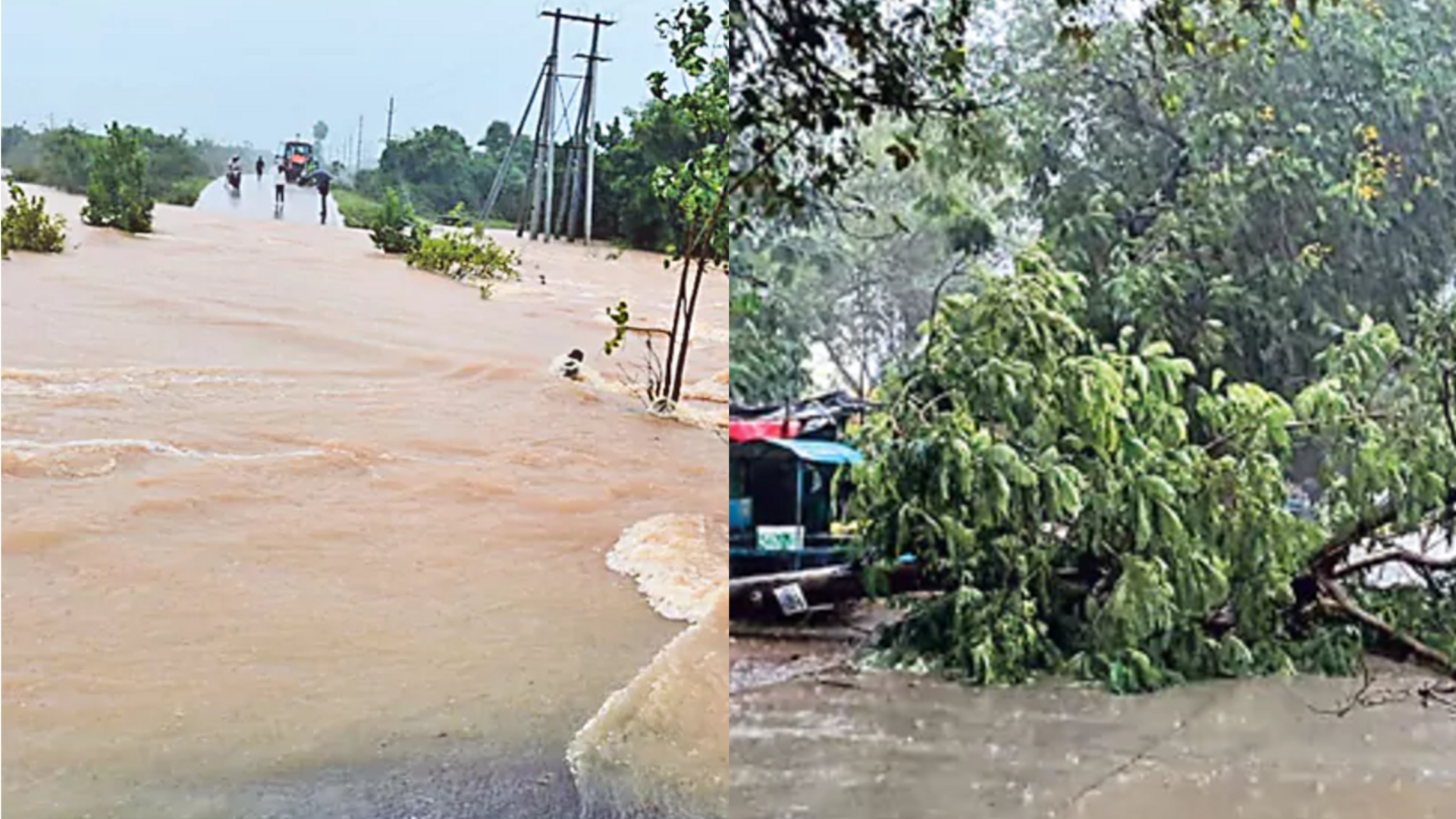 Cyclone Montha: పంజా విసిరిన తుపాను.. పలు జిల్లాల్లో విరిగిపడిన చెట్లు, విద్యుత్తు స్తంభాలు Cyclone Montha: పంజా విసిరిన తుపాను.. పలు జిల్లాల్లో విరిగిపడిన చెట్లు, విద్యుత్తు స్తంభాలు