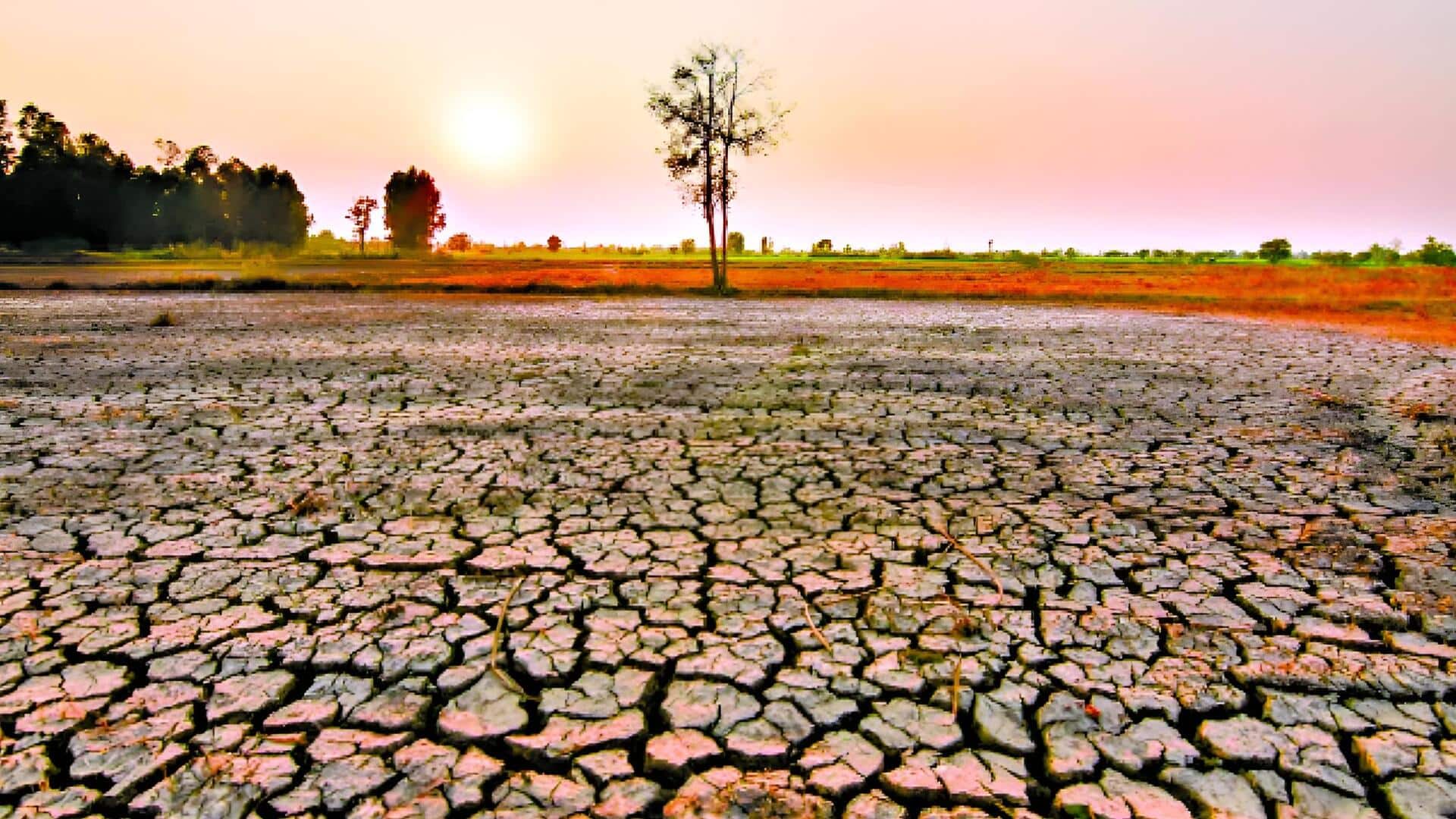 El Nino Impact: ఎల్‌నినో ప్రభావం: ఆంధ్రప్రదేశ్,తెలంగాణలో ఆలస్యం కానున్న రుతుపవనాలు