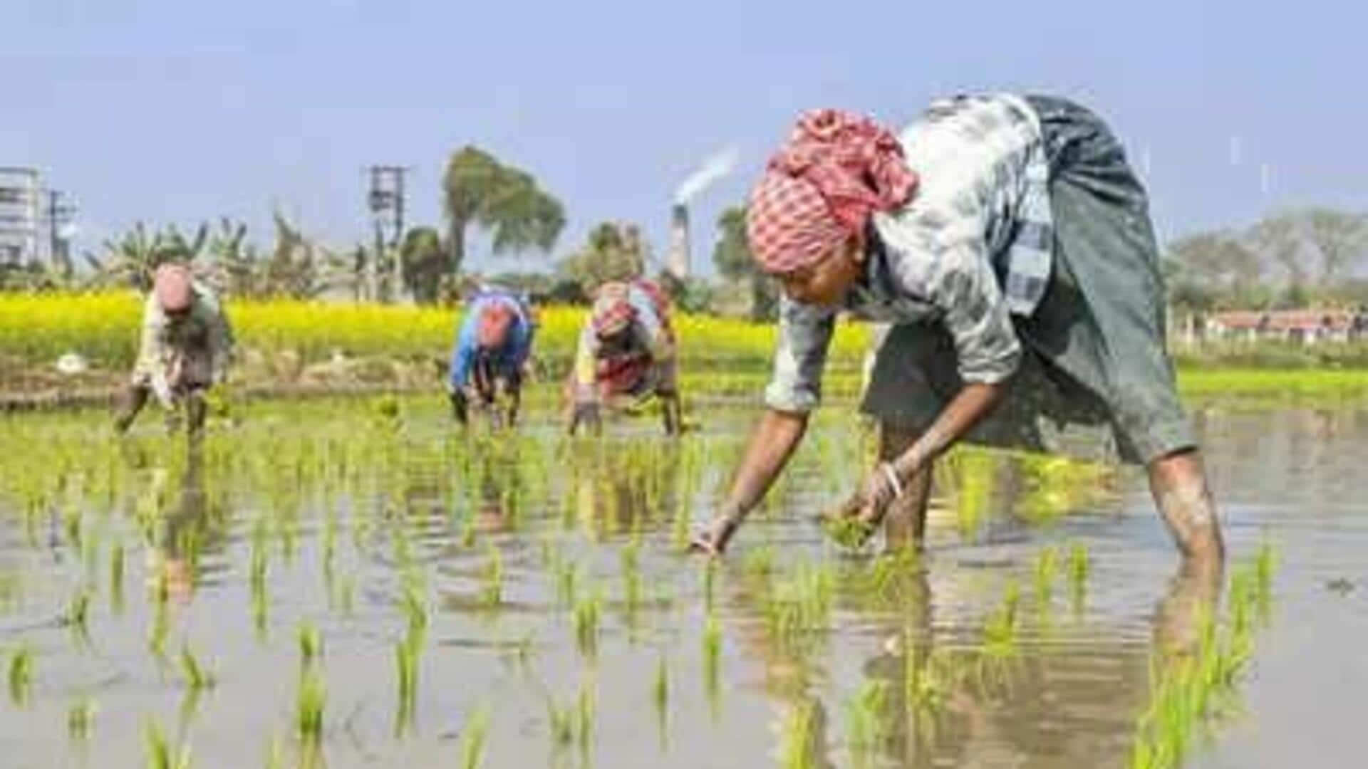 Farmers: రైతులకు శుభవార్త చెప్పిన కేంద్రం..ఎరువుల సబ్సిడీకి రూ.41,534 కోట్లు మంజూరు