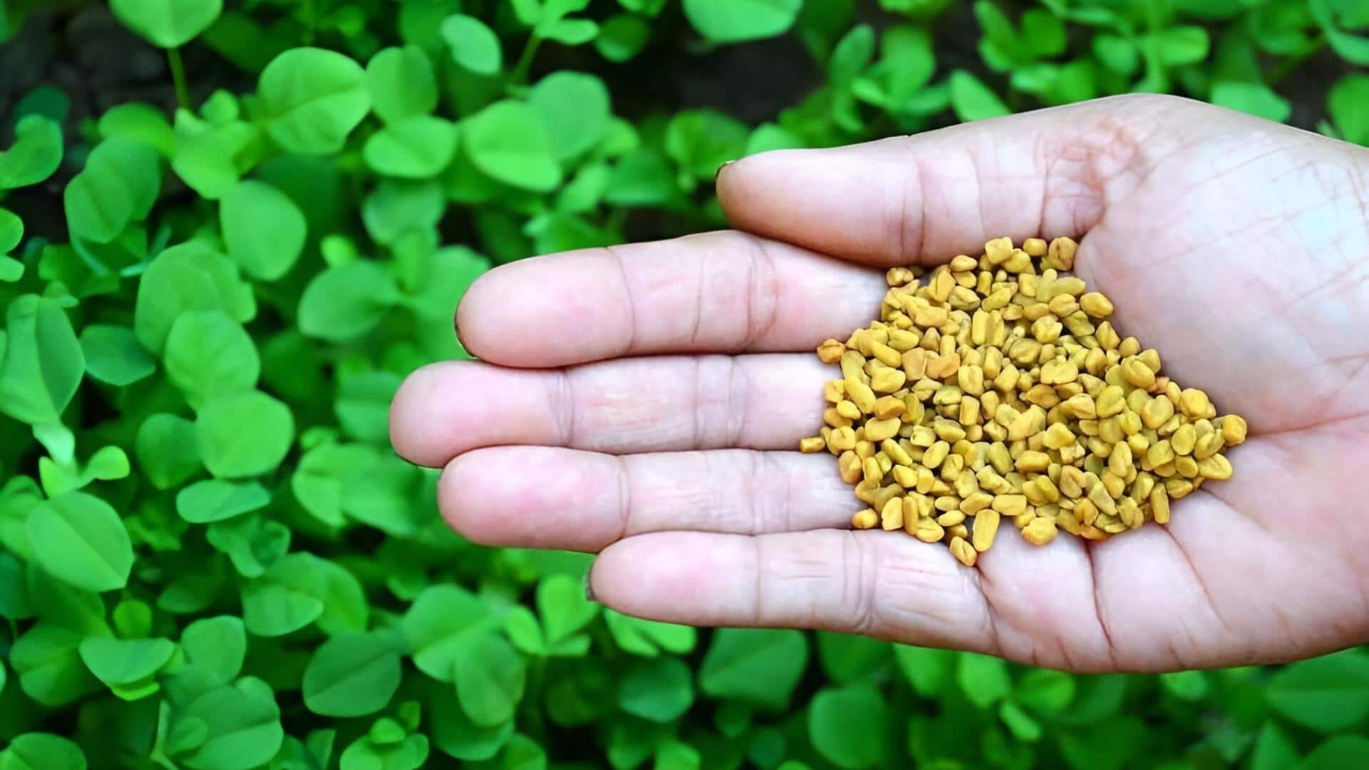  Uses of menthulu: మధుమేహ నియంత్రణకు మెంతులు