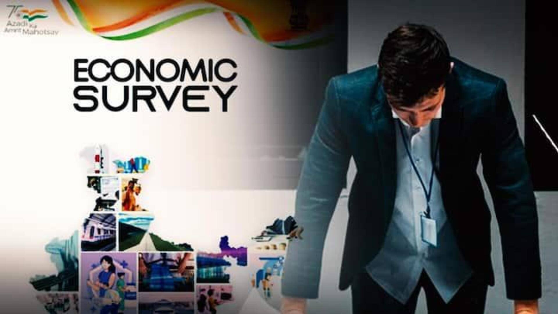 Economic Survey: ప్రతి రెండవ గ్రాడ్యుయేట్‌కు ఉపాధి నైపుణ్యాలు లేవని ఆర్థిక సర్వే వెల్లడి