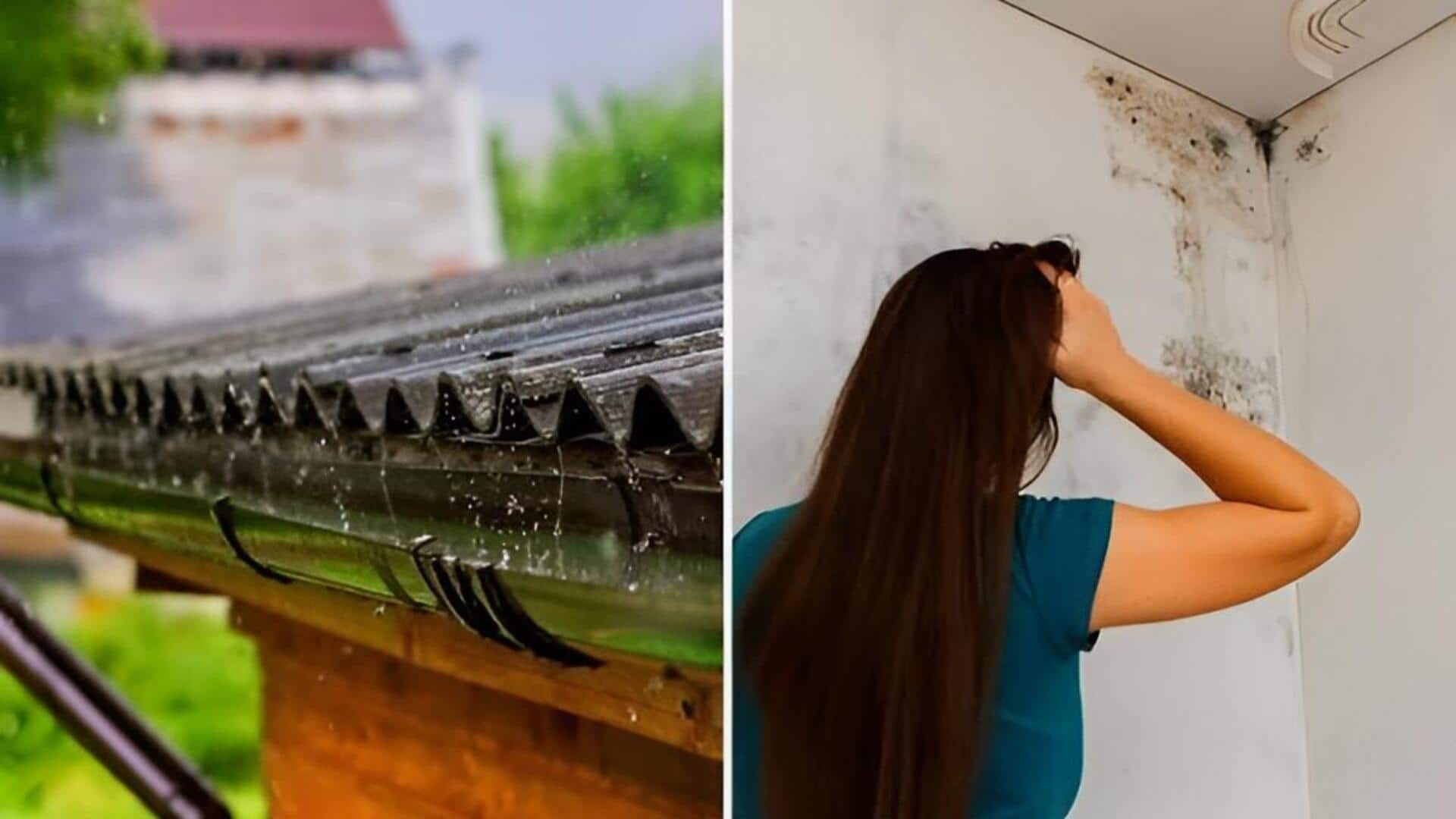 Rainy Season: వర్షాకాలంలో ఇంట్లో తేమ సమస్యకు చెక్.. ఈ 5 సులభమైన చిట్కాలు పాటించండి
