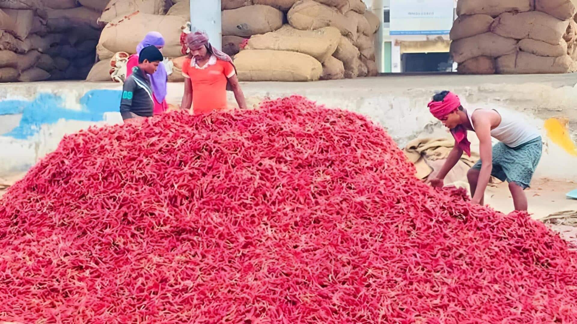 Telangana: వరంగల్‌ మార్కెట్లో తేజ మిర్చికి రికార్డు ధర.. రైతుల్లో ఆనందం