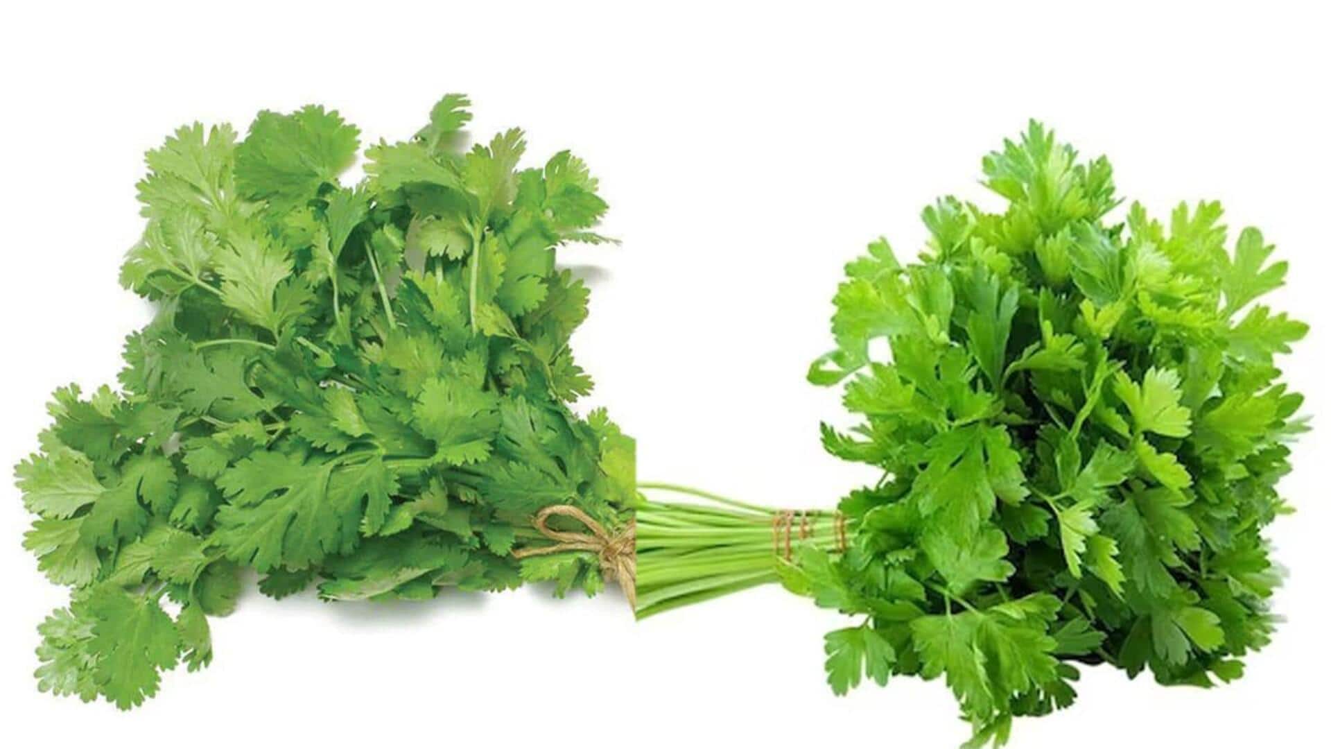 Coriander leaf : కొత్తిమీరతో అద్భుతమైన ఆరోగ్య ప్రయోజనాలు