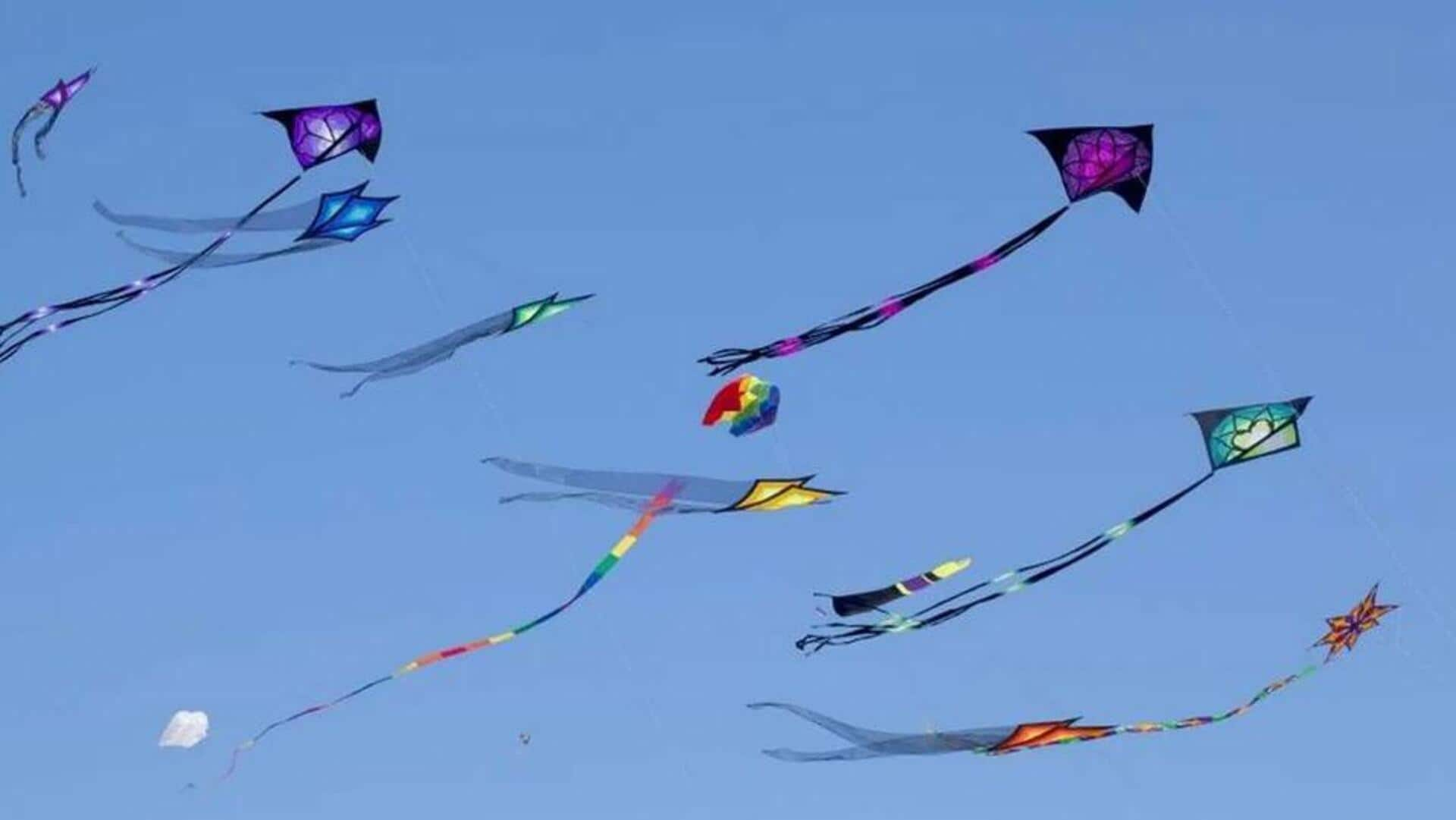 flying Kites: ఈ సంక్రాంతికి గాలిపటాలు ఎగరేస్తున్నారా? అయితే ఈ జాగ్రత్తలు పాటించాల్సిందే! 