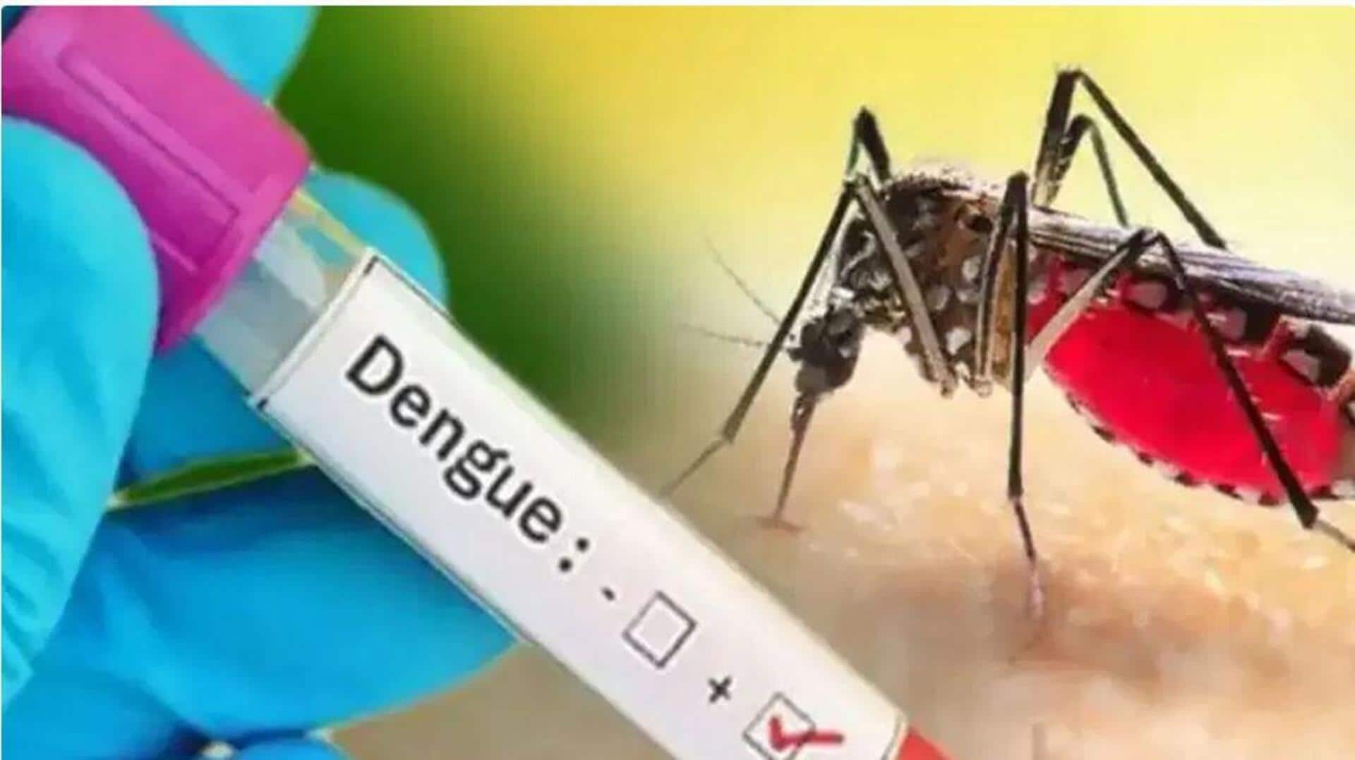 Telangana: డెంగీ విజృంభణ.. హైదరాబాద్లో 27 కేసులు, నివారణలో జాప్యం! Telangana: డెంగీ విజృంభణ.. హైదరాబాద్లో 27 కేసులు, నివారణలో జాప్యం!