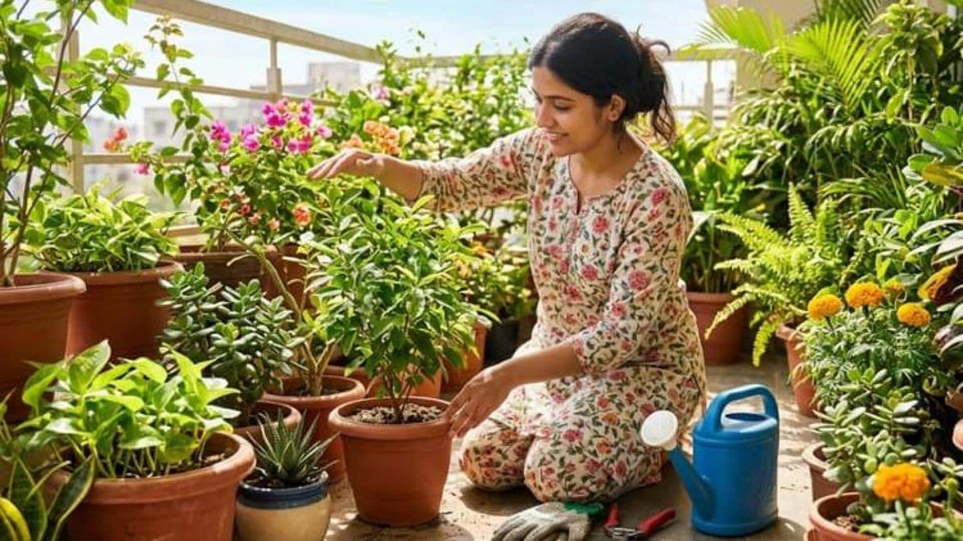 Plant Cultivation: వేసవిలో మొక్కలకు నీళ్లు పోసే సరైన విధానం ఇదే..