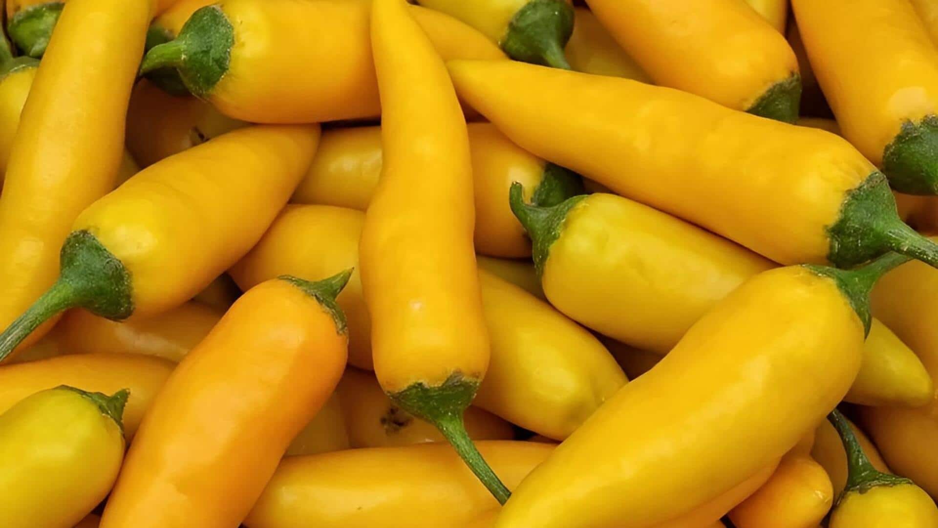 Andhra Pradesh: కొత్త రంగు అద్దుకున్న కారం.. రాష్ట్రంలో సాగవుతున్న ఉత్తరాఖండ్‌ రకం