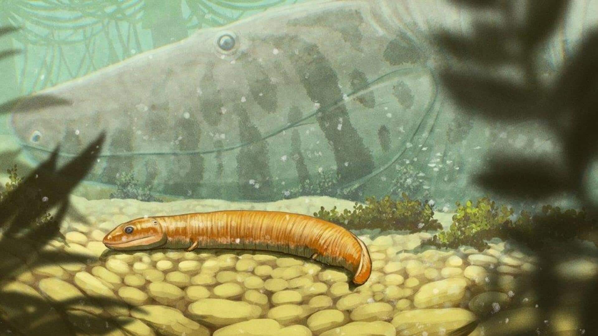 Vertebrates: భూమిపైకి వచ్చిన తొలి వెన్నెముక జంతువుల రహస్యం.. శిలాజాల్లో బయటపడిన కీలక నిజాలు