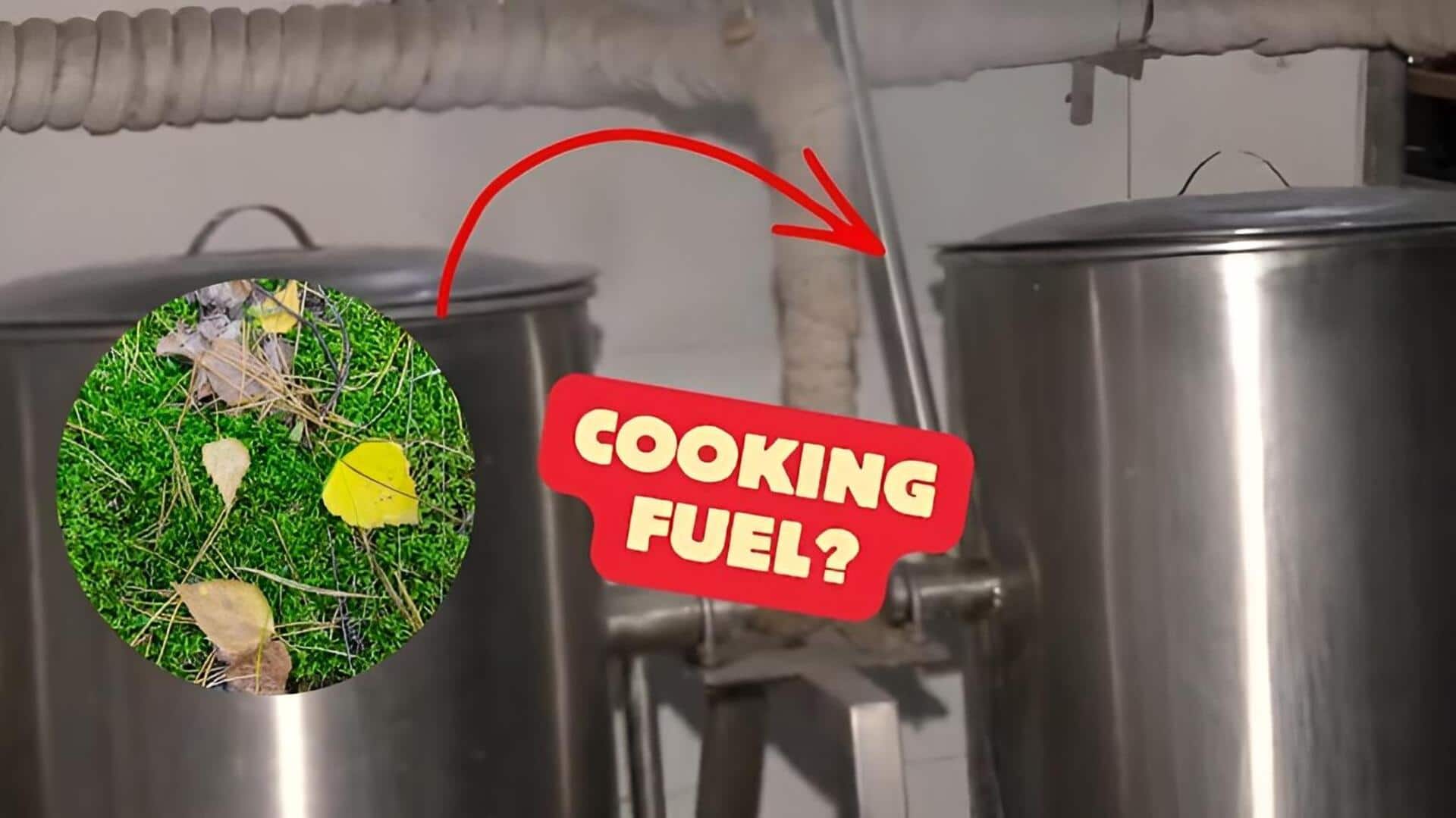 LPG: ఐఐటీ బాంబే సంచలనం: ఎండిన ఆకులతో వంట ఇంధనం తయారీ