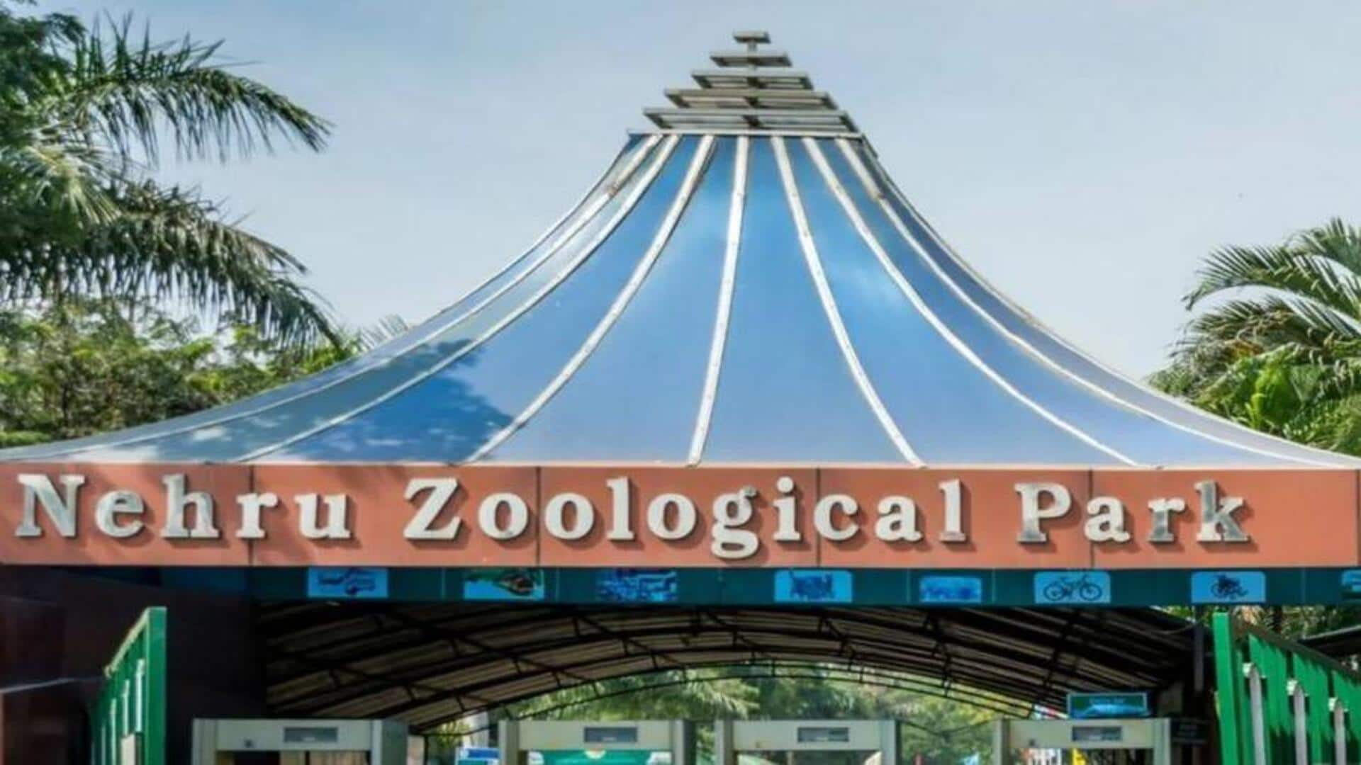 Nehru Zoo Park Ticket Price: పర్యాటకులకు బిగ్ షాక్‌.. హైదరాబాద్ జూపార్క్‌లో టికెట్, పార్కింగ్ ఛార్జీల పెంపు