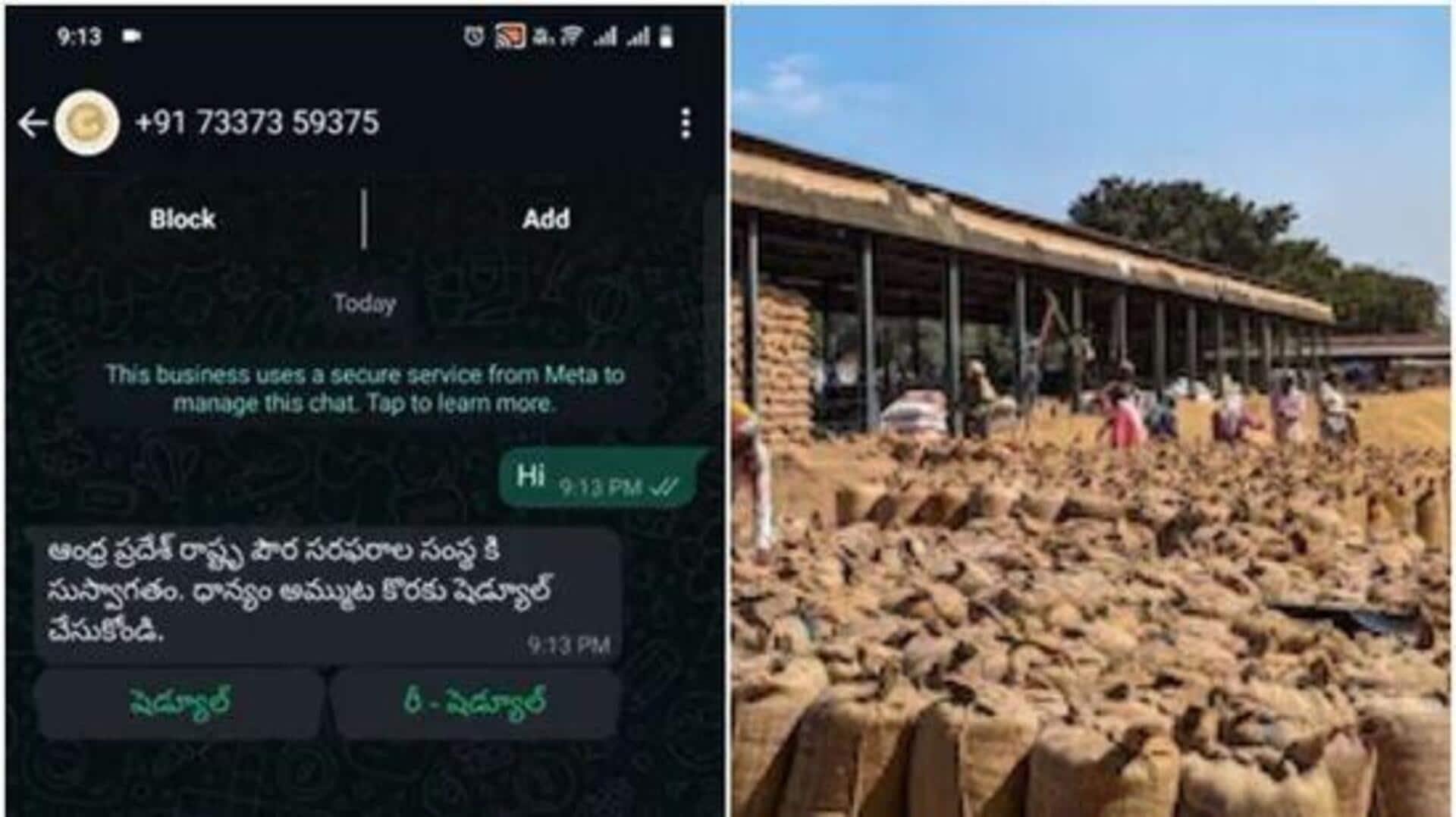 AP Paddy Procurement WhatsApp : ఆంధ్రప్రదేశ్‌లో ధాన్యం కొనుగోళ్లలో టెక్నాలజీ వినియోగం 