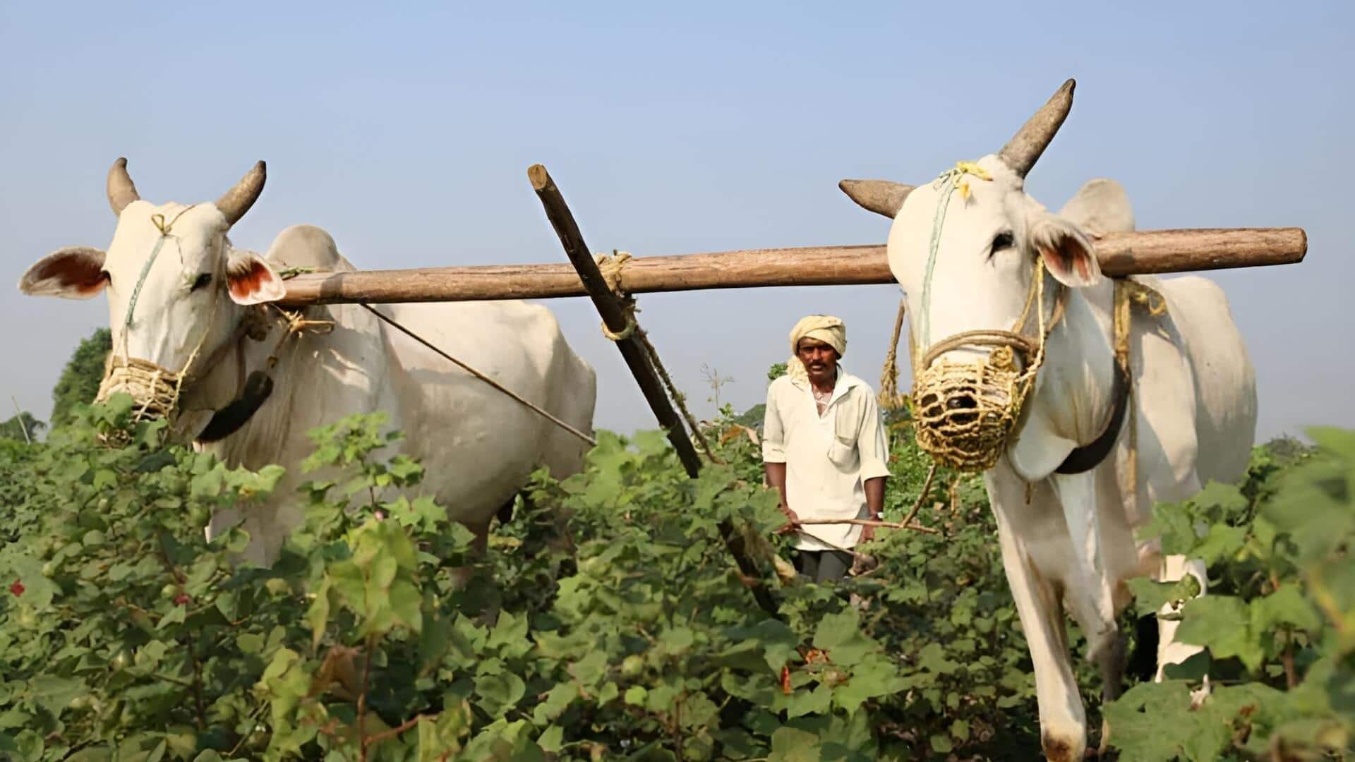 Union Budget 2026: చిన్న, సన్నకారు రైతులకు శుభవార్త.. ఆదాయం పెంపుపై ఆర్థిక మంత్రి నిర్మలమ్మ ప్రకటన