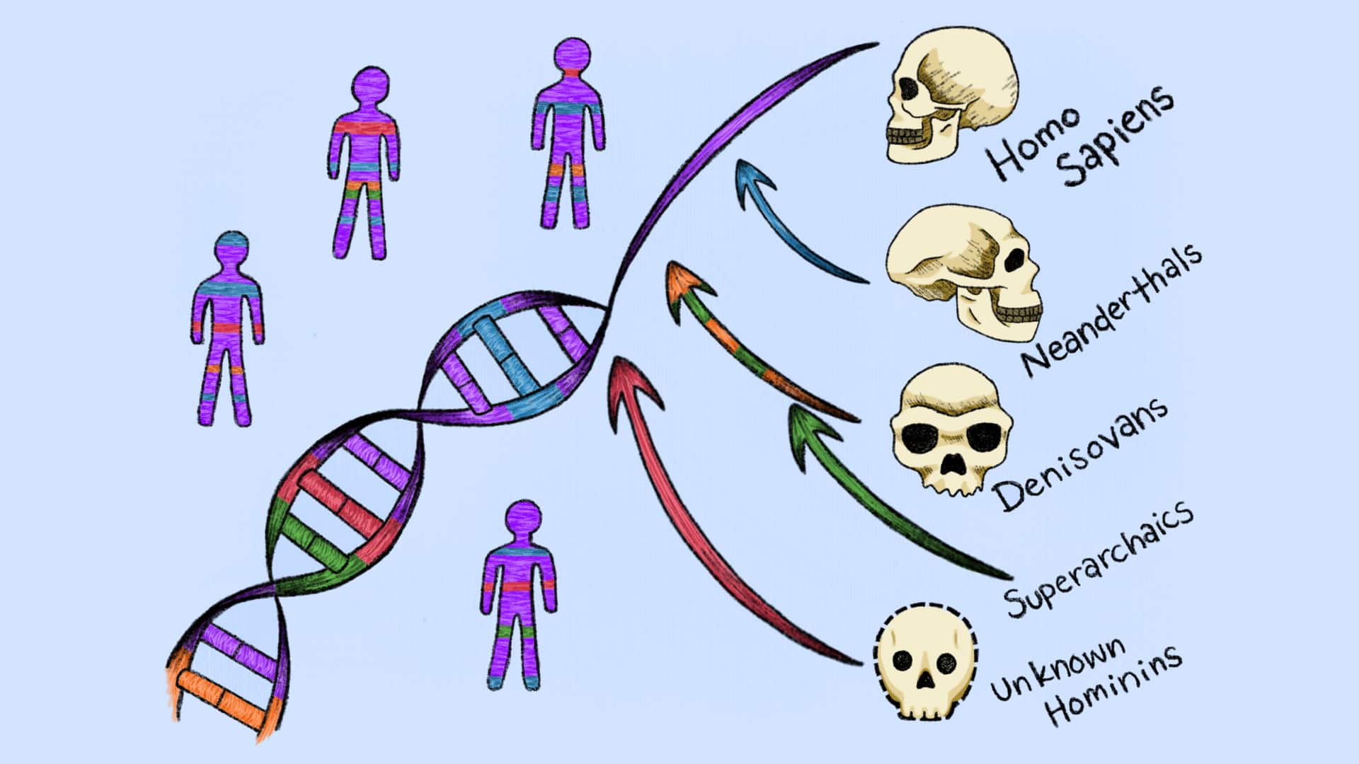 DNA: మనిషి డీఎన్‌ఏలో రహస్య పూర్వీకులు.. శాస్త్రవేత్తల సంచలన ఆవిష్కరణ!