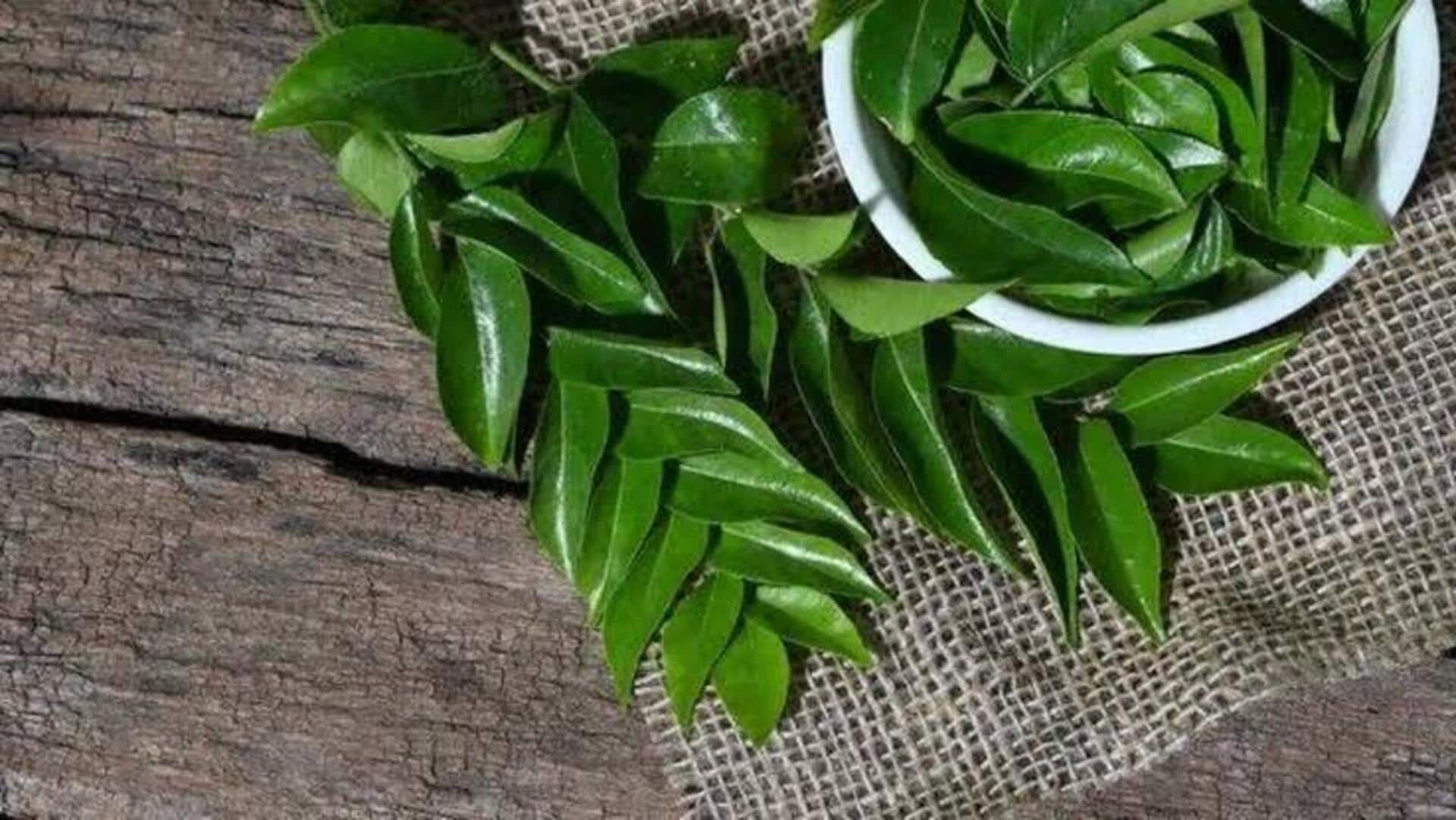 Curry Leaves Recipes: ఈ వర్షాకాలంలో తప్పక ట్రై చేయాల్సిన 5 కరివేపాకు రెసిపీలు ఇవే